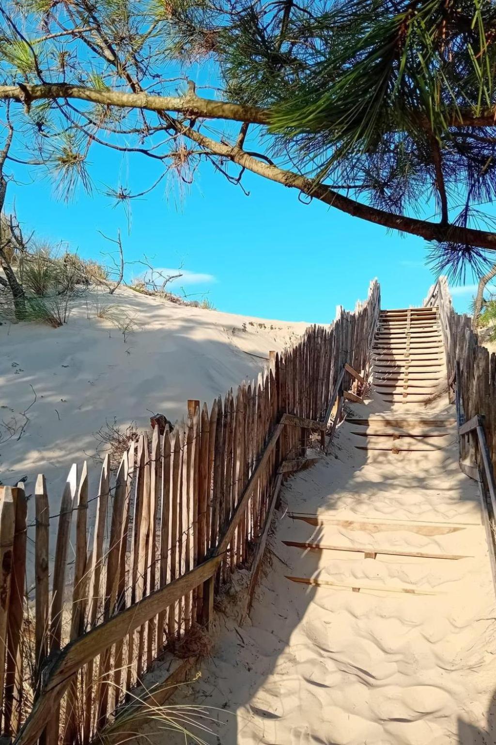 Holiday Home Les Bruyeres By Interhome Mimizan-Plage Ngoại thất bức ảnh
